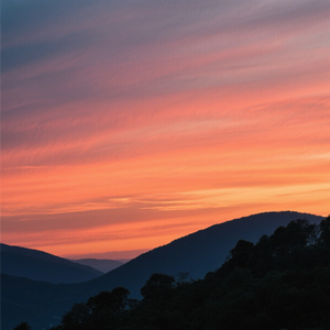 一念温柔落指尖