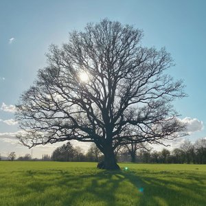 Dancing with Angels (Live at Hellens)