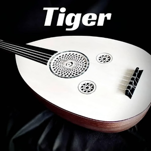 [不免费]--Tiger--KYXXX-AfroDrill-AfroClub Type Beat