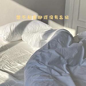 想不起来却还没有忘记