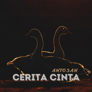 Cinta Berliku
