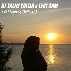 Dj Yalili Yalila X Teki Gam (Remix)