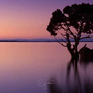 EMOTIONS (Down 428Hz)