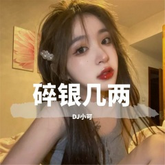 如果会是你 (DJ版)