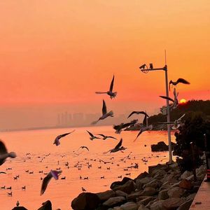 写在黄昏的hook之歌（prod. Saké by the Water）