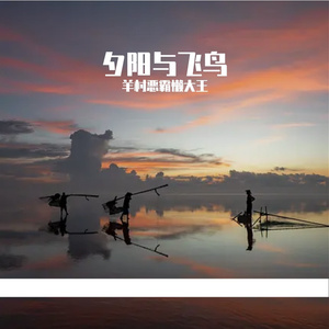 夕阳与飞鸟 伴奏