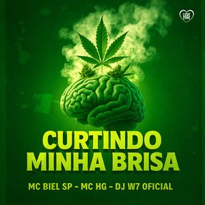 Curtindo Minha Brisa
