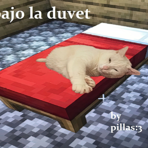 Bajo la Duvet By Pillas:3