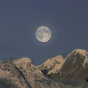 星星还是那么亮（翻自 爱如潮水）