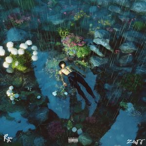 楼顶上的小斑鸠