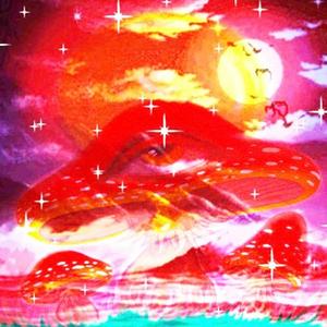 shroom tunez (intro)