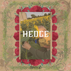 Hedge