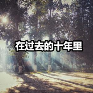 在过去的十年里