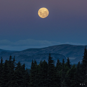 저 별을 따라가요