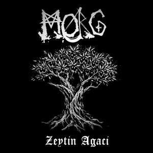 Zeytin Ağacı
