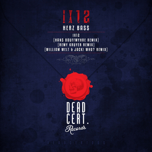 IX12 (Remy Kruyer Remix)