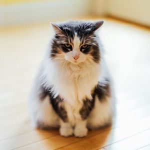 那年一起追过的女孩