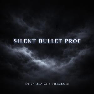 Silent bullet