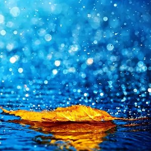 随口的雨