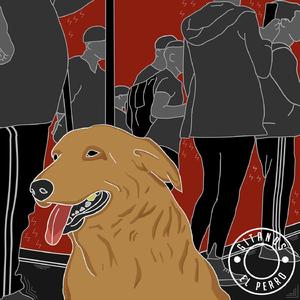 El Perro