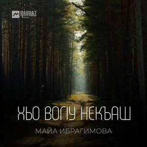 Хьо вогlу некъаш