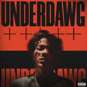 UNDERDAWG