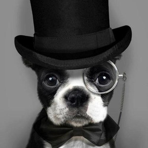 绅士（Cover 薛之谦）