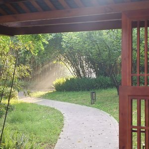 居无定所