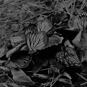 untitled 3