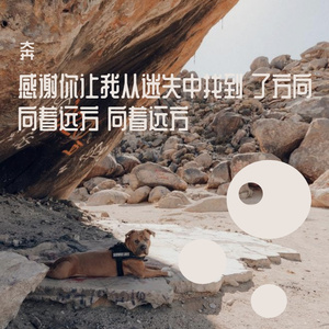 你的头发美丽而哀愁就像你的灵魂