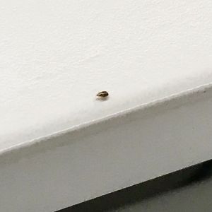 明天还要早起去上班