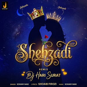 Shehzadi (Remix)