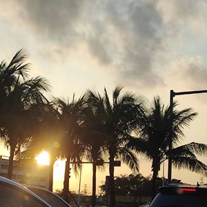 主动是爱的本能