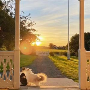 我们的故事爱就爱的值得