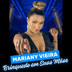 Brinquedo em suas mãos