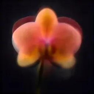 Heartbreaking Spring