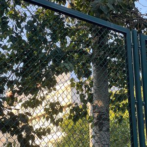 他只是经过♥(Vision of Le)