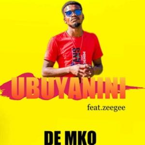 Ubuyanini (feat. ZEEGEE)