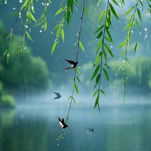 清明雨上 (Cover许嵩)