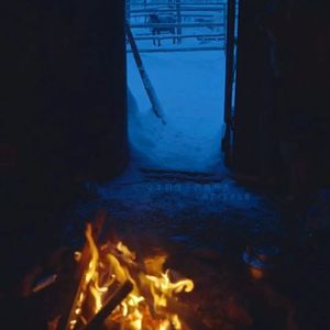 今年的雪下的格外大