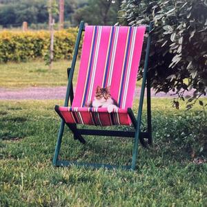 chorégraphie (demo)