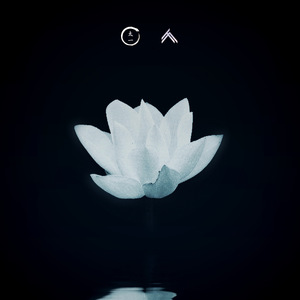 太一-人类妖冶之花 (TSAR Remix)（TSAR / 太一 remix）