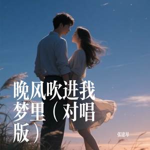 晚风吹进我梦里DJ（对唱版）