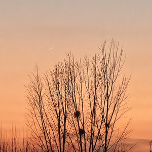 临门一脚的遗憾