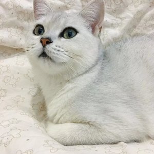 你在终点等我（Cover 王菲）