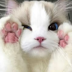 Heaven ON THIS Earth (sped up)