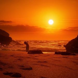 Pôr do Sol (feat. Thalita)