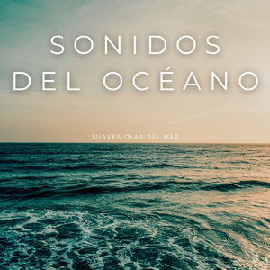 Conservación Del Océano