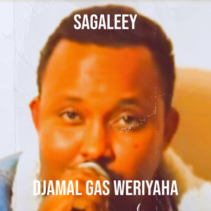 Sagaleey