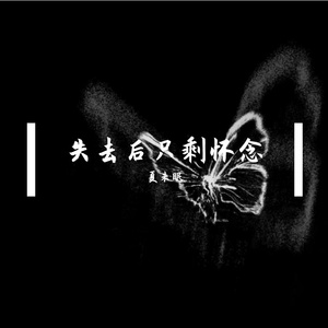 失去后只剩怀念
